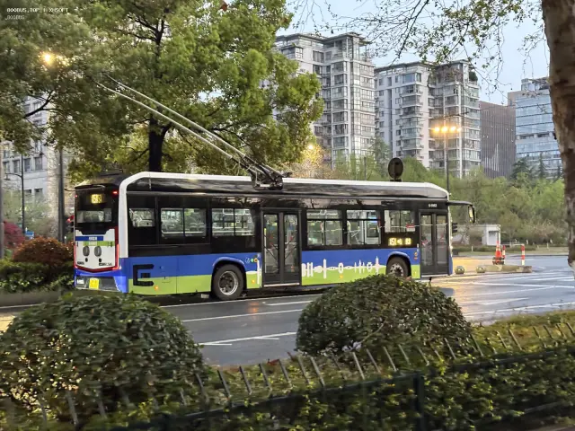 浙A 26J01