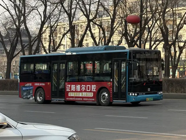 辽K 00603D