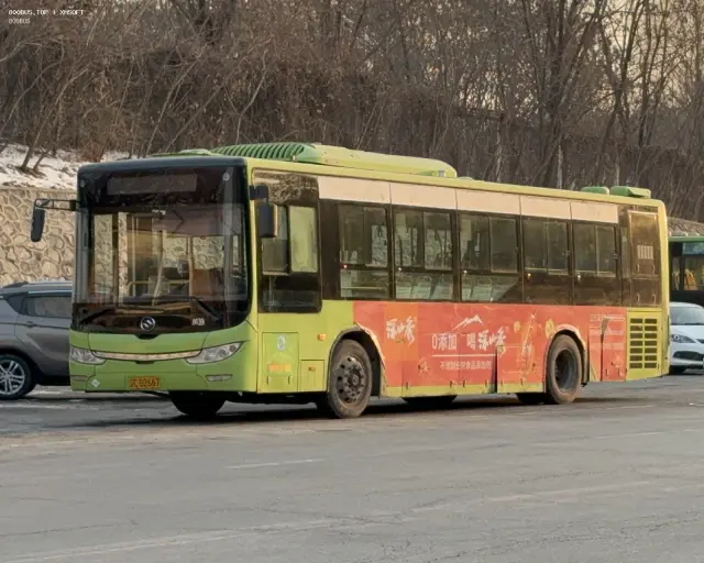 辽C D2667