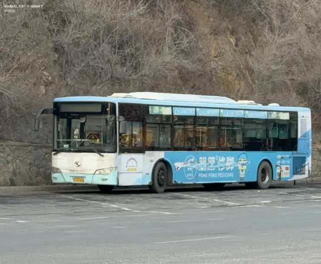 辽C D7632