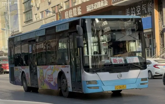 辽C D6251