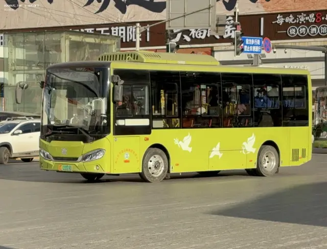 辽C 03319D