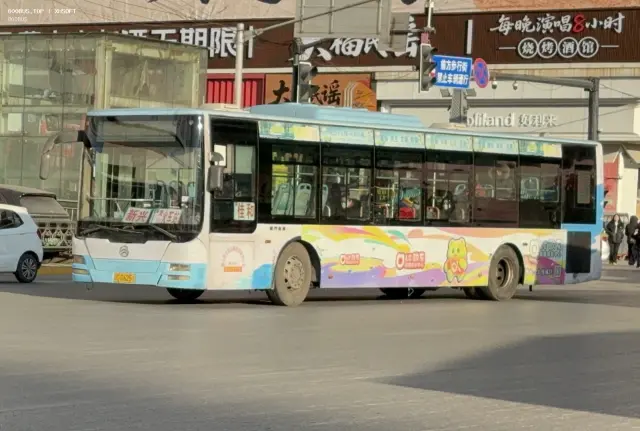 辽C D6251