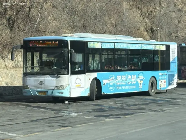 辽C D7632