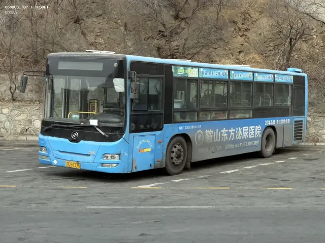 辽C B2375