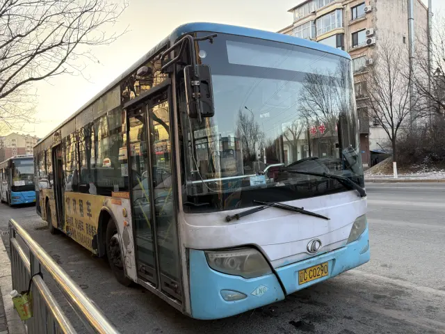 辽C C0290