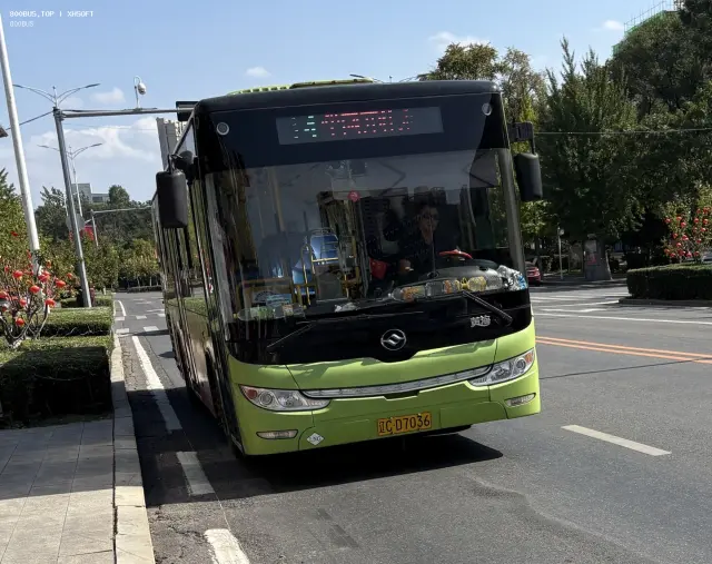辽C D7036