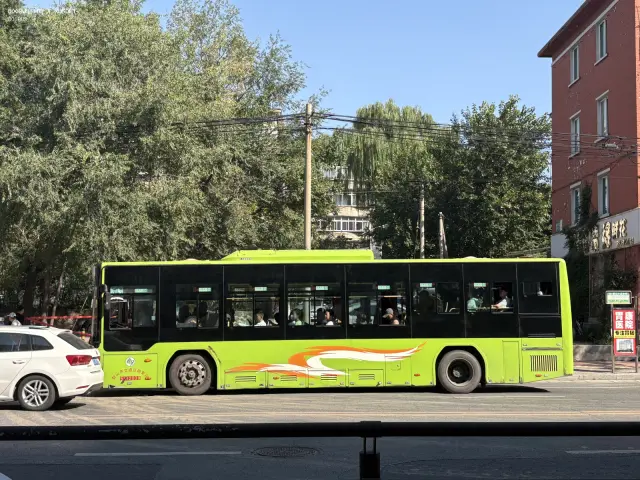 辽C D7065