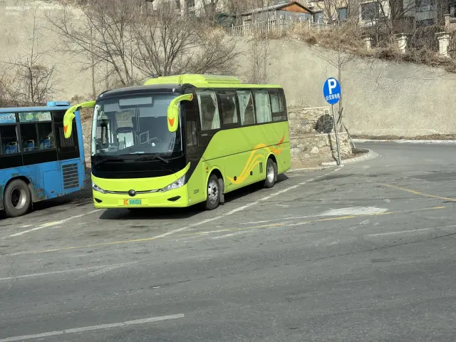 辽C 08800D