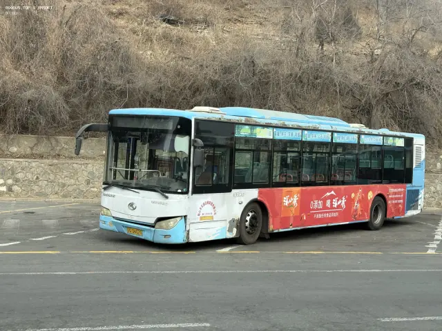 辽C D6025