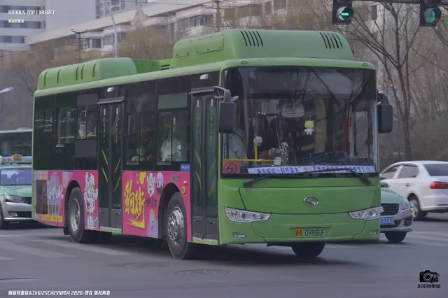 800BUS