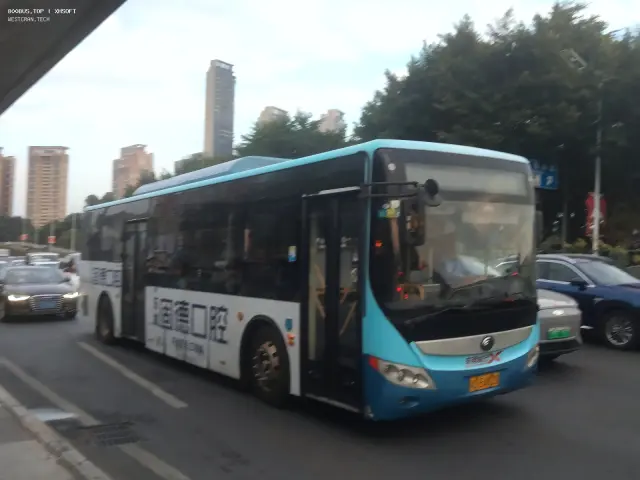 未知