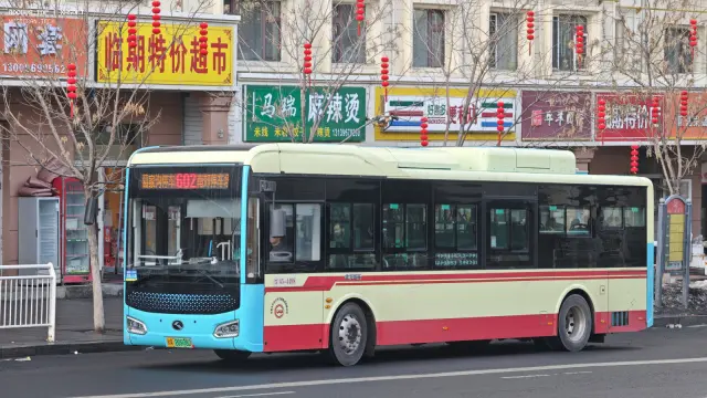 800BUS