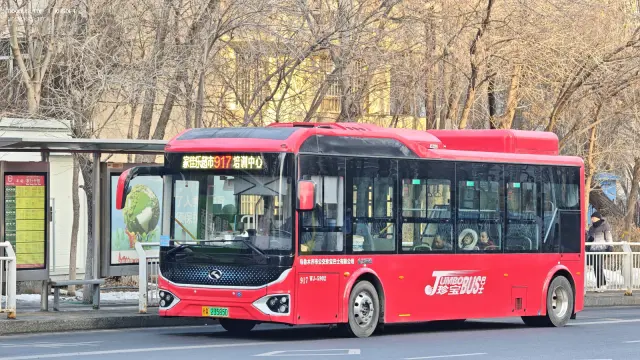 800BUS