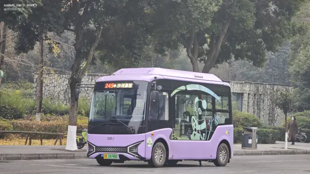 川A 24746D
