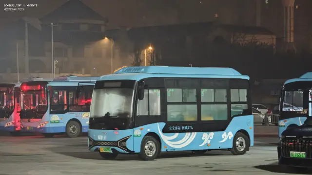 800BUS