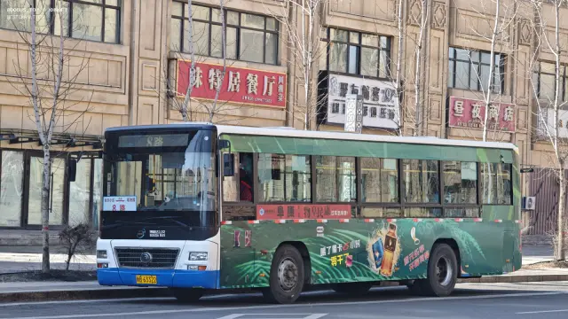 800BUS