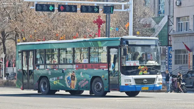 800BUS
