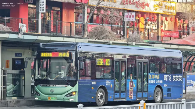 800BUS