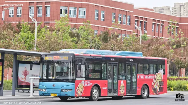 800BUS
