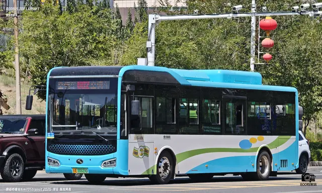800BUS
