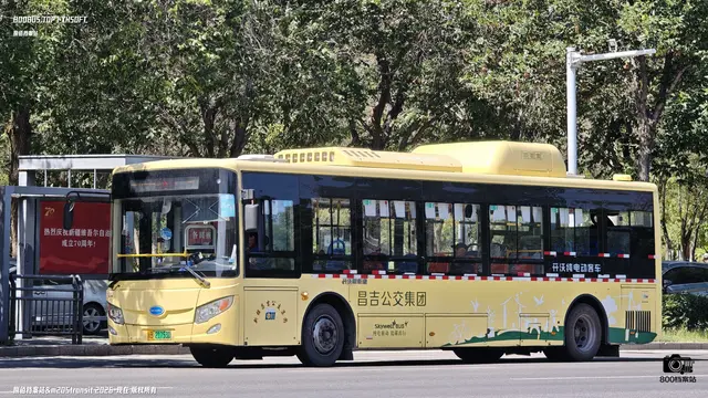 800BUS