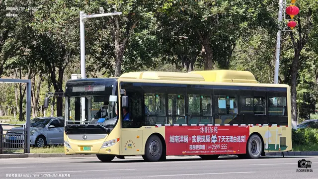 800BUS