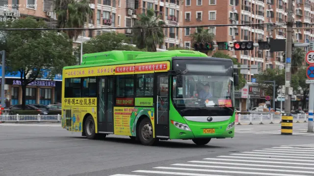 800BUS