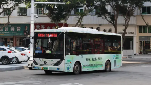800BUS