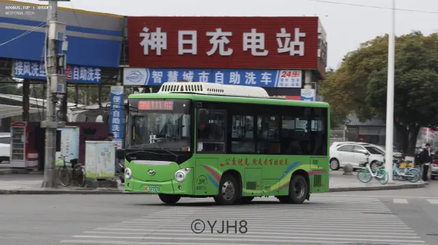 800BUS