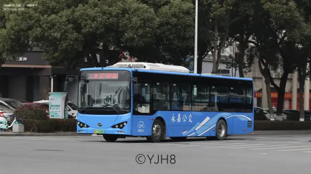 800BUS