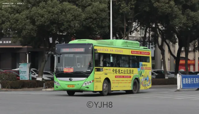 800BUS