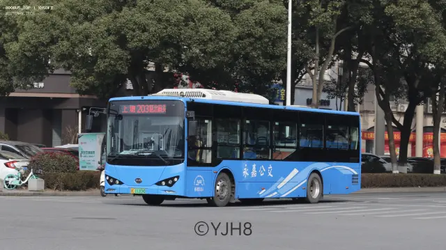 800BUS