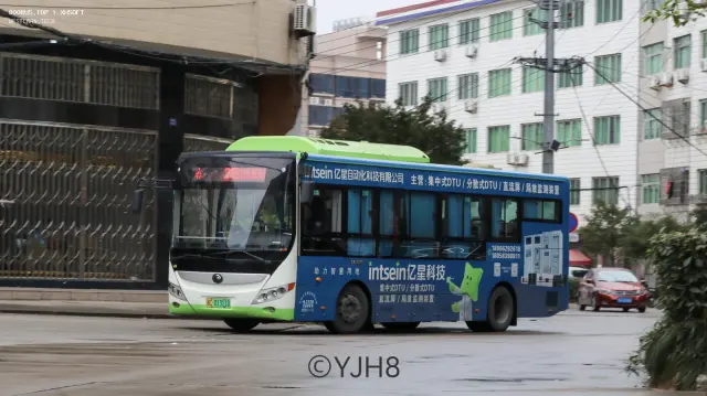 800BUS