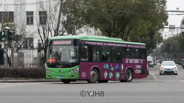 800BUS