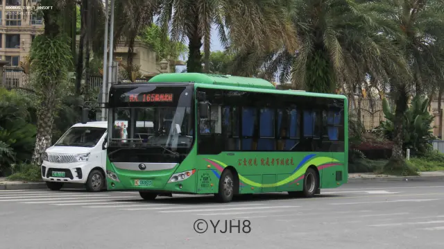 800BUS