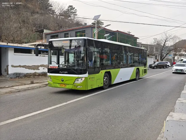 800BUS