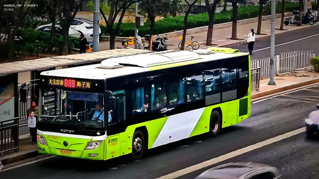 800BUS