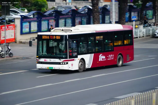 800BUS