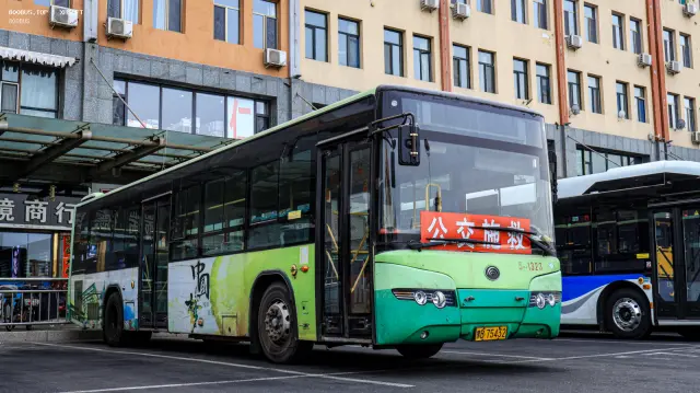 800BUS