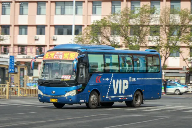 800BUS