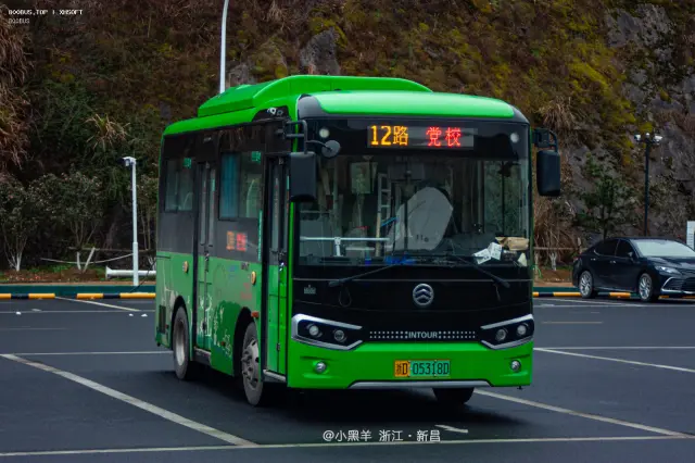 浙D 05318D