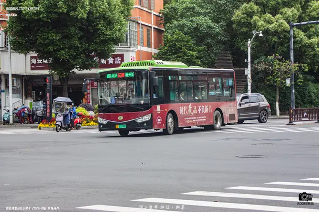 800BUS