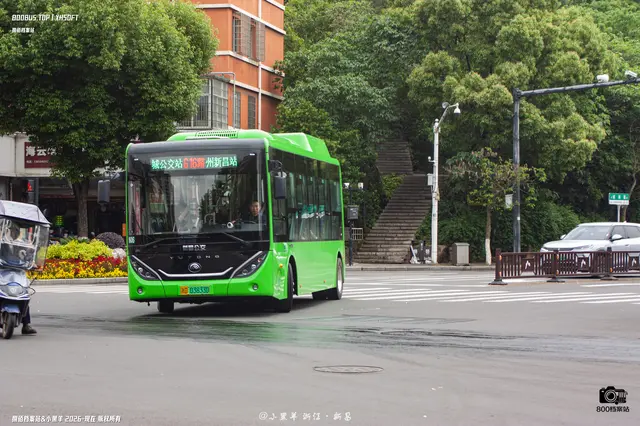 800BUS