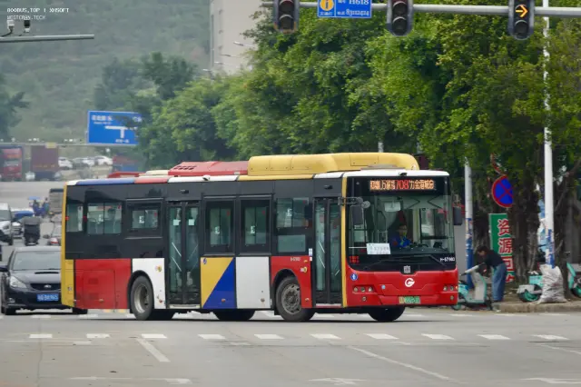 800BUS