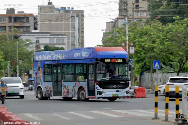 800BUS