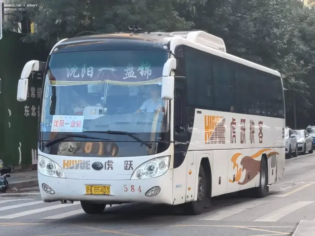800BUS
