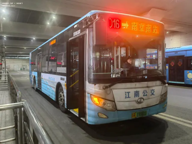 苏A 19080D