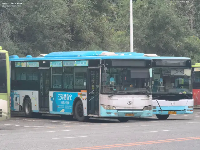 辽C F9503