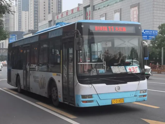 辽C D1803